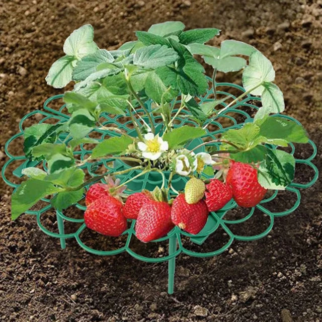 5/10/20Db Strawberry Támogató Eperkeret Tartó Erkély Ültetési Állvány Növényi Otthoni Kerti Dekorációhoz - Image 6