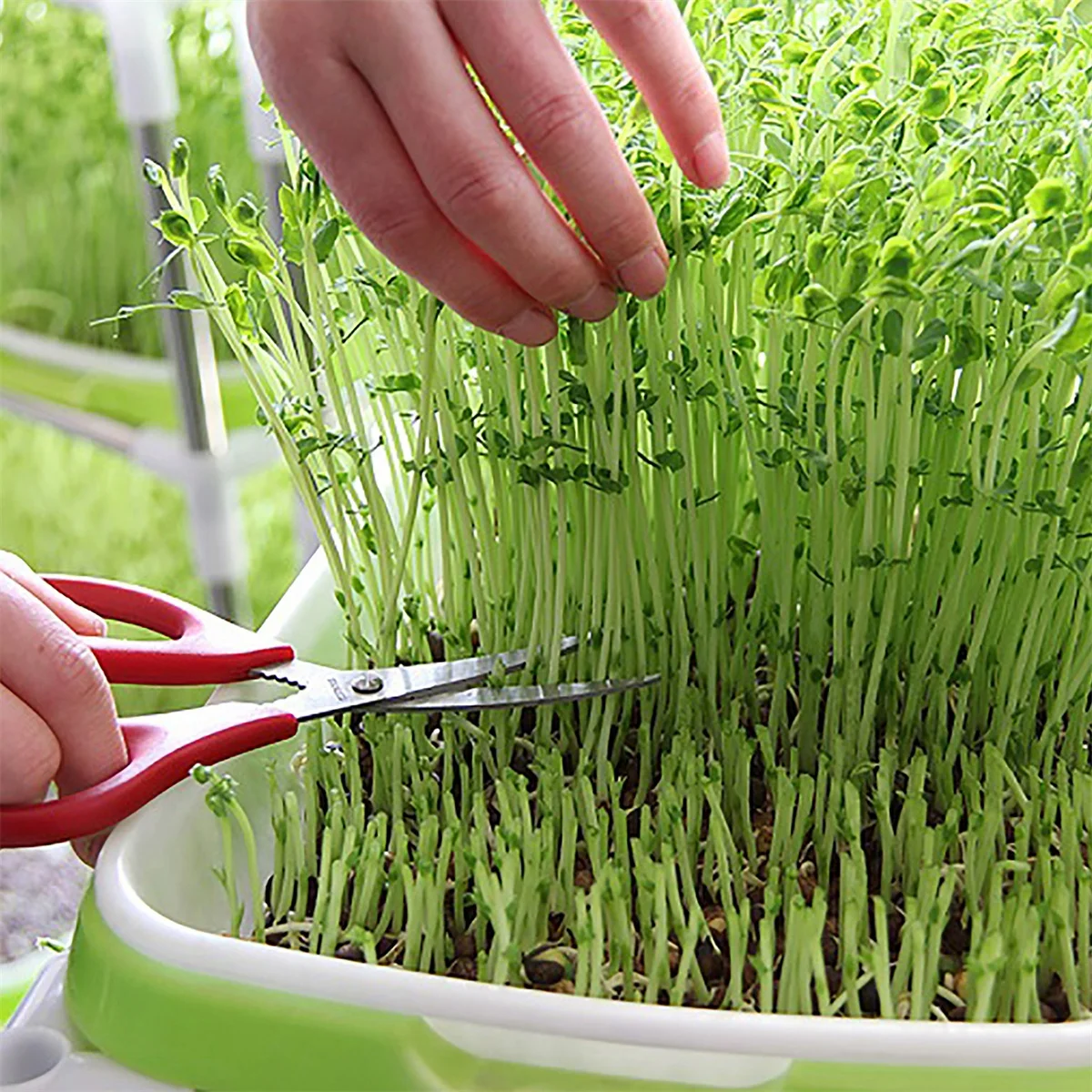 Sprouting Tray Shelf With Stainless Steel Tube Universal Brake Wheel Double Layer Seedling Germination Tray Yard Planting Frame