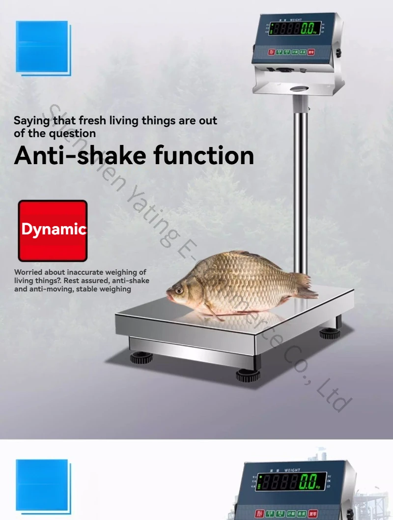 200kg Weighing Scale Stainless Steel Electronic Platform Scale Industrial Water