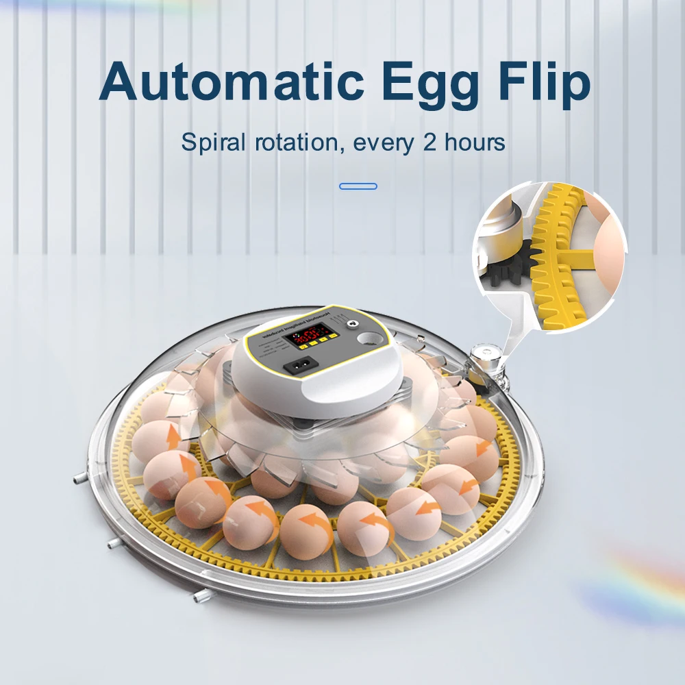  Ÿ ̴  ť, ڵ  ̿     µ , 8  ť