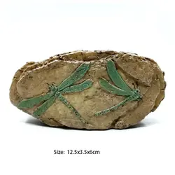 Aquarium Decor: Resin Fossil Ornament & Shelter (Dragonfly Fossil)