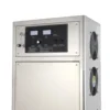 CE 100g Ozone Genetaror Water Swimming Filter Sterilizer System For Commercial Swimming Pool Equipment 2