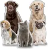 Custom Pets Cushion Personalized Filling Pets Photo Cushion DIY Pillow for Putting Picture of Cats and Dogs Home Decor 1