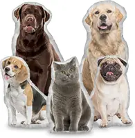Custom Pets Cushion Personalized Filling Pets Photo Cushion DIY Pillow for Putting Picture of Cats and Dogs Home Decor 1