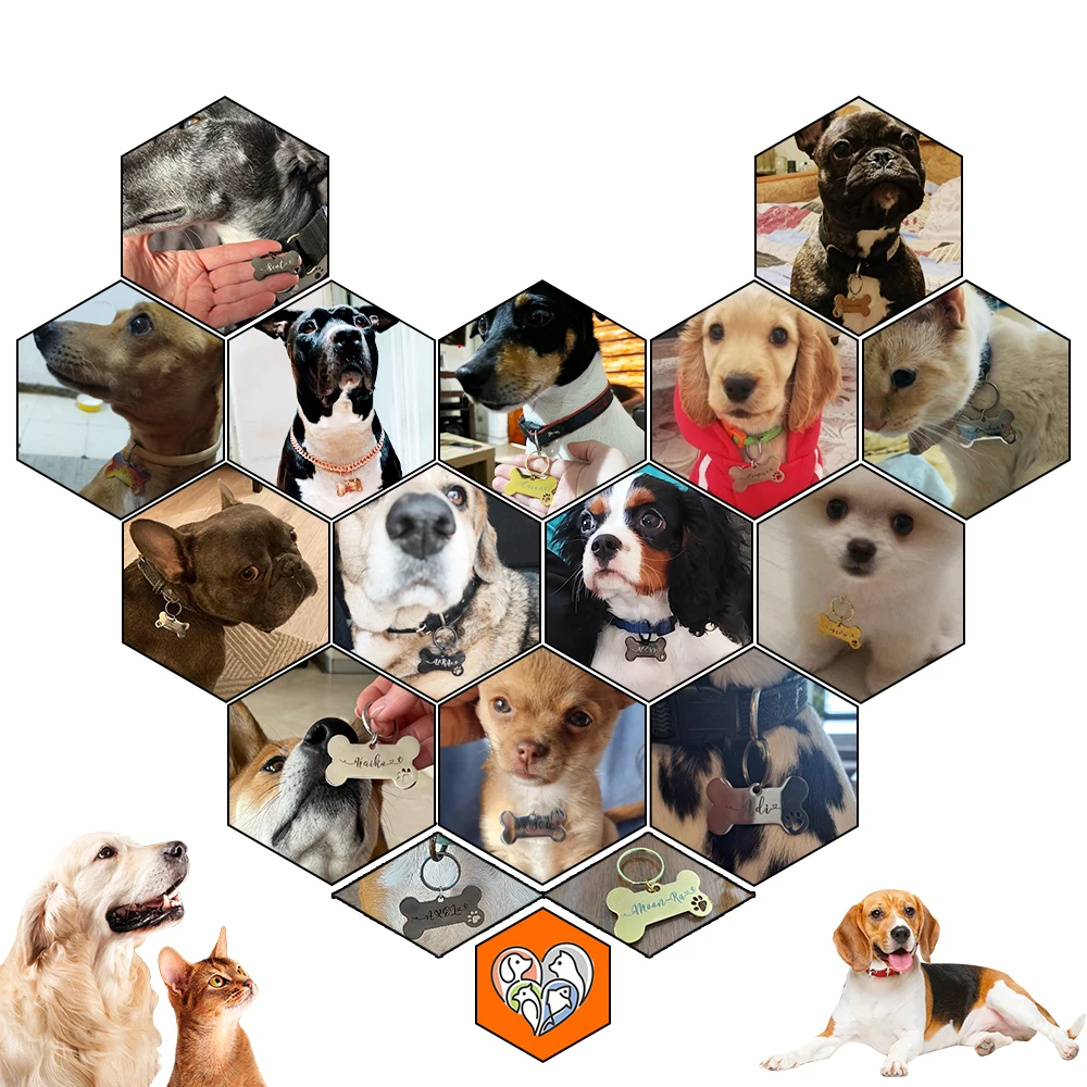 Pet ID Tags Personalized Shiny Steel Free Engraving For Dog Kitten Puppy