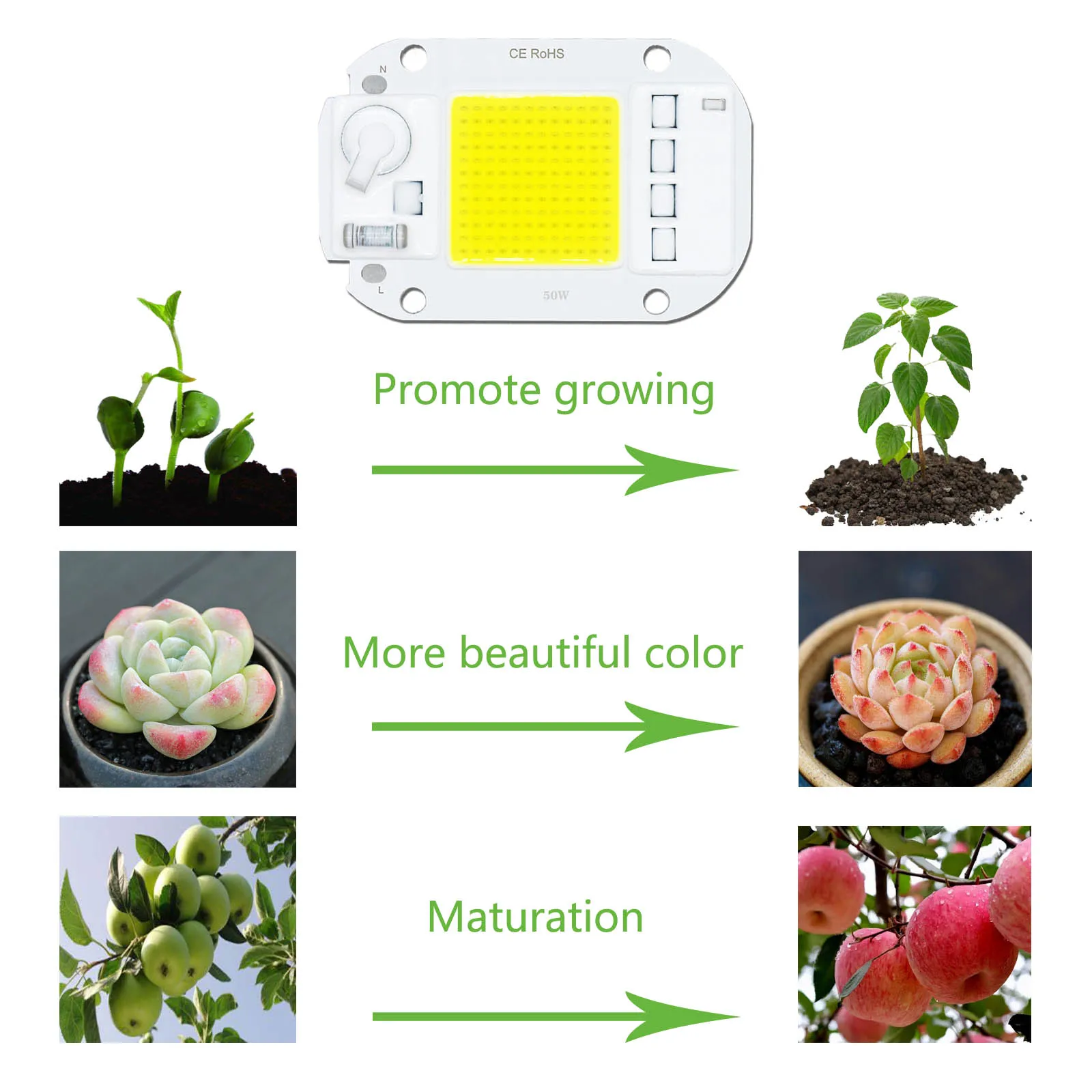 20W 30W 50W LED COB CHIP AC 220V 240V 5000lm White Light without Driving Plant Light Source Flood Chip Spot DIY