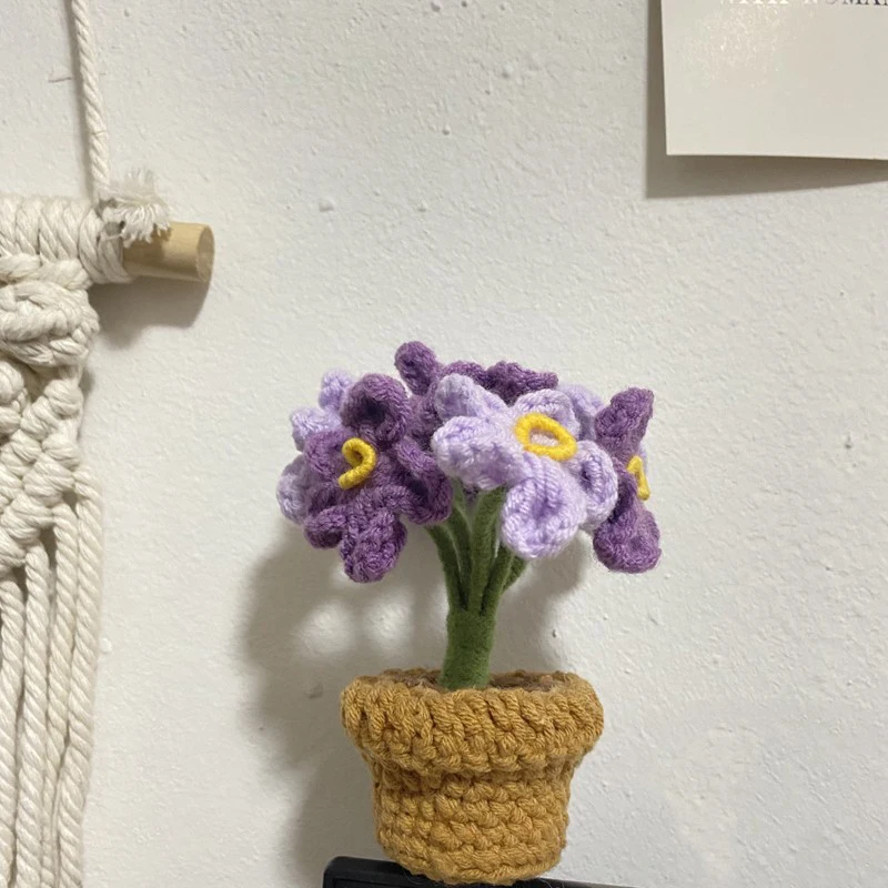 DIY handgemachte Häkelblumen Topf fertig gewebter Blumenstrauß künstliche gestrickte Blume Valentinstag Geschenk Home Desktop Dekor – Detail 11