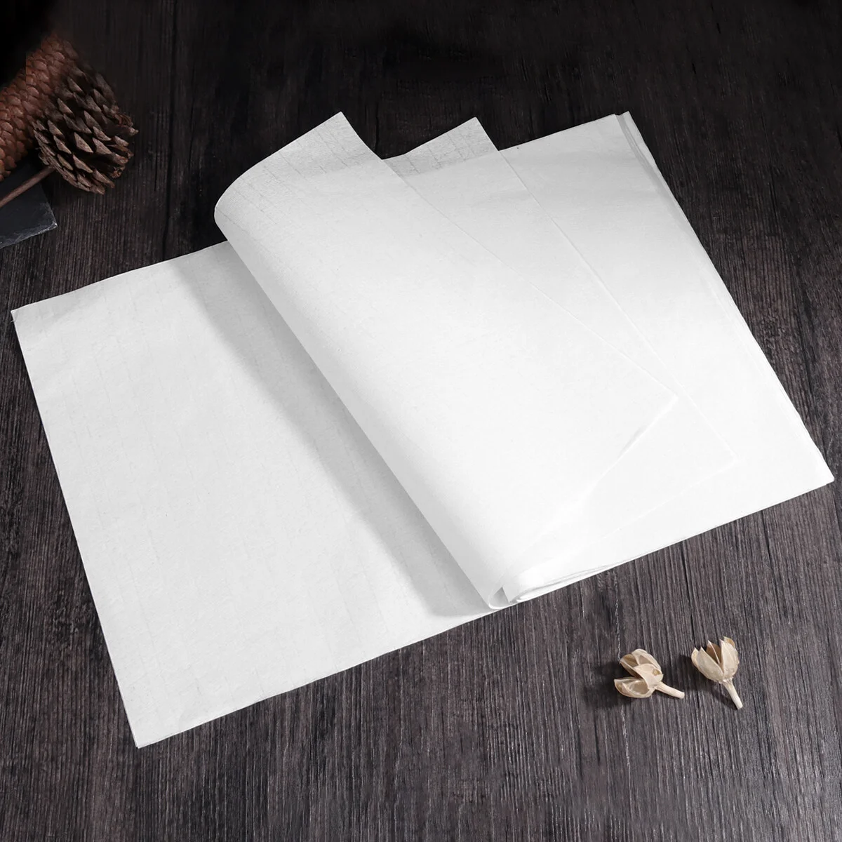 50 Sheets Chinese Japanese Calligraphy Practice Writing Sumi Drawing Xuan Rice Paper without Grids for Chinese Calligraphy 5