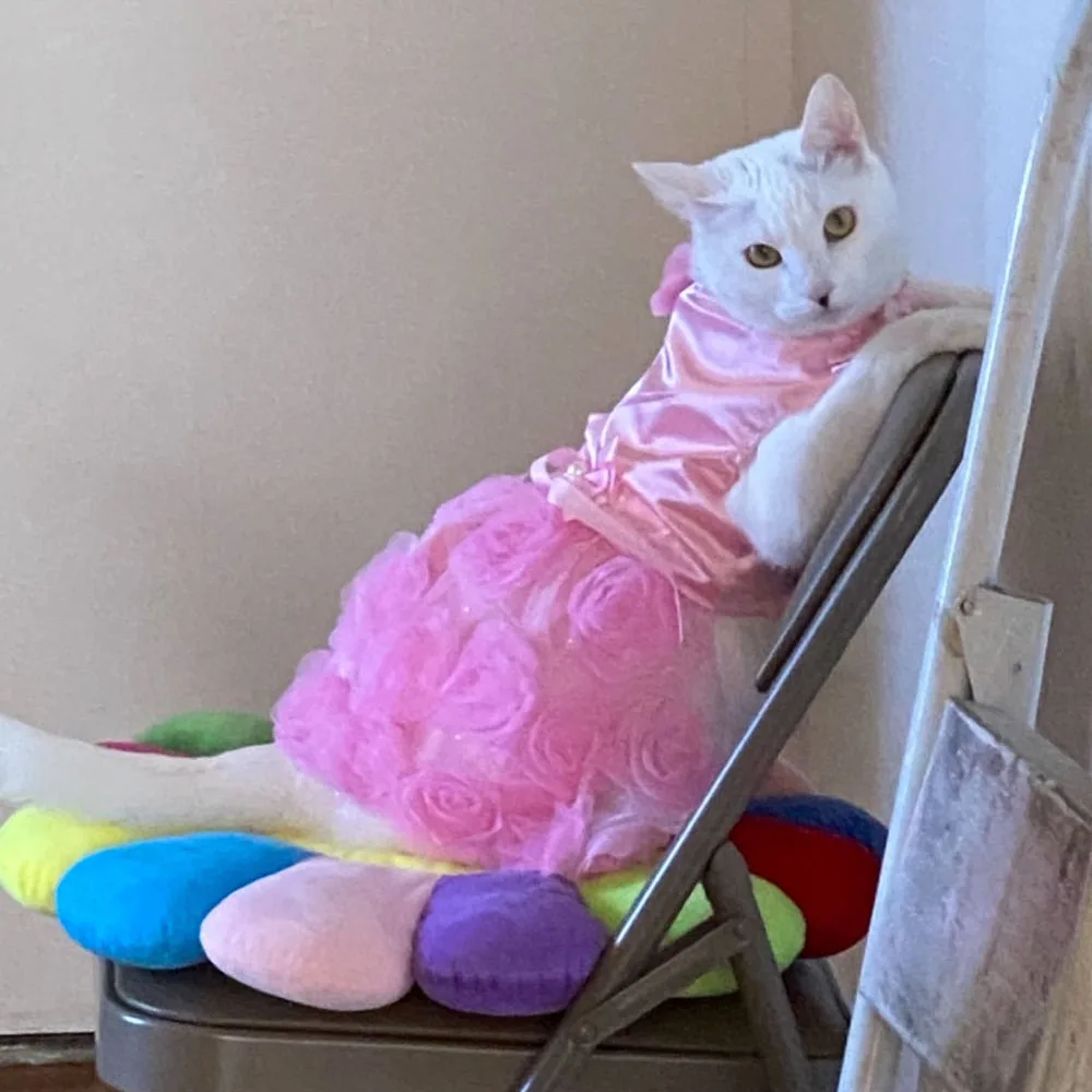 Vestido de lujo para perros y gatos pequeños, falda de tutú para mascotas, ropa para gatos, falda de princesa para perros y gatos, vestido de noche de boda con lazo de Perla Rosa 2