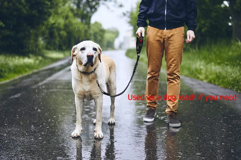 Pet Car Seat Belt Rope Ring Dog Car Retractable Elastic Reflector Leash Dog