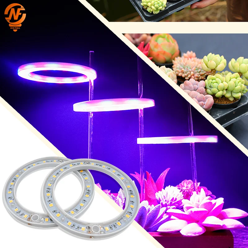 

LED Plant Grow Light DC5V USB Full Spectrum Hydroponic Growing Lamp Plants Phyto Veg Flower Indoor Angel Ring Phytolamp