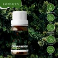 Cedarwood