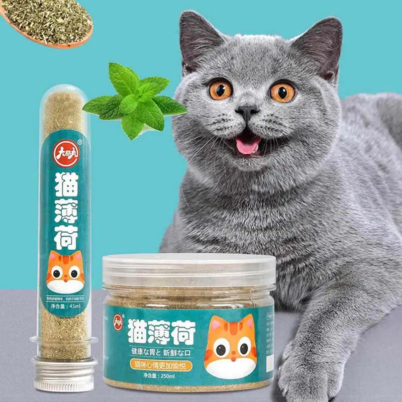 Cat Nip Sapore Di Erba Gatta Fresca E Potente Pianta Naturale Cat Nip Treat Promuove La Digestione Del Gatto Esercizio Di Gioco E Fidanzamento