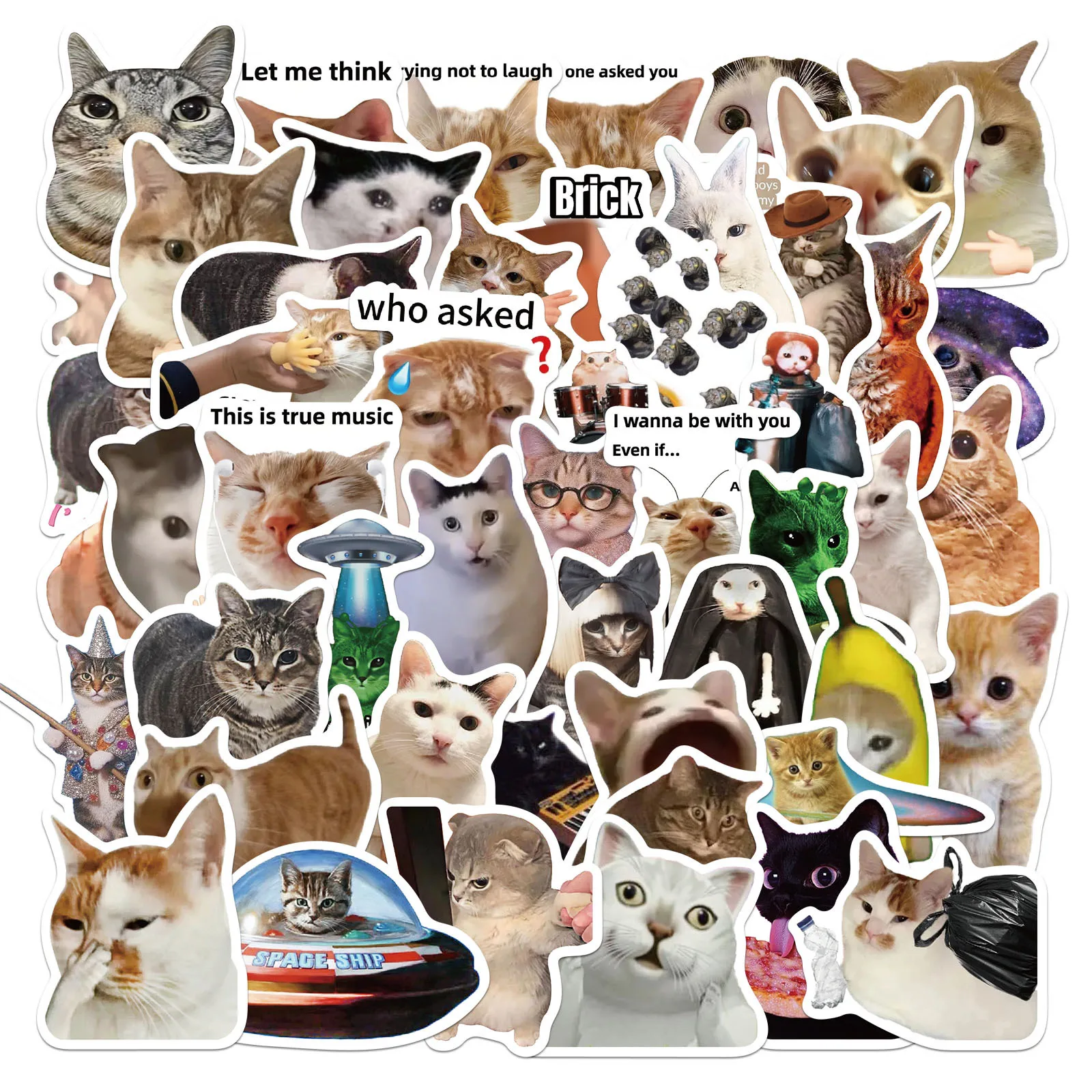 50Pcs Funny Cat Meme Stickers Pack Cute Graffiti Vinyl Stickers for Water Bottles Laptops Phones Case DIY Decoration