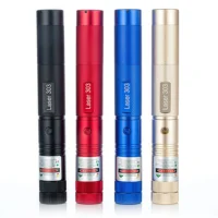 Mini 2 in1Cat Keychain Fun Pointer No battery Portable Green Laser pointer LED Training Torch Pet Cat Tickle Toy Flashlight