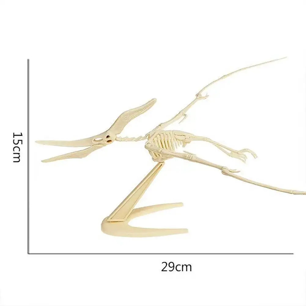 Dinosaur Fossil Skeleton Action Figure Collection - Creative DIY Assembly Toy
