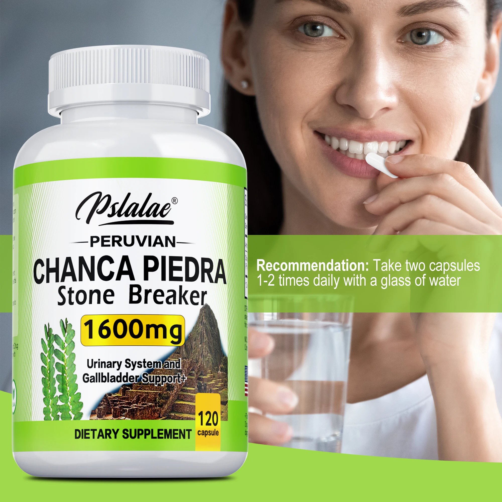 Chanca Piedra 1600mg for Kidney & Bladder Health kidney bladder cleanse