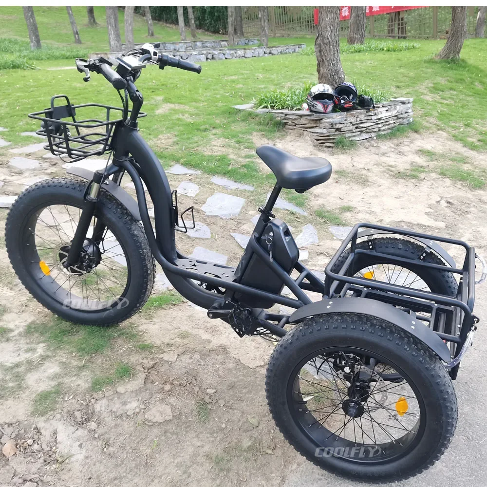High Power Tricycles Family Cargo Lithium Battery Three Wheel Electric Bicycle 48v 750w 1000w e Bike for Sale