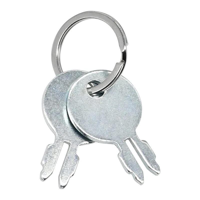 2PCS Ignition Keys 180292M1 180681M93 20A180 192529M91 Compatible With Massey Ferguson 35 40 50 65 85 88 90 TO20 TO30 TO35