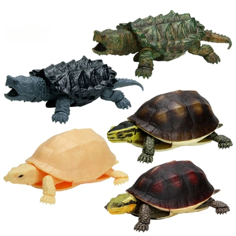 

Cashapon Gacha Capsule Toy Tortoise Model Capsule Toy Gacha Simulation Animal Cuora Snake-eating Turtle Table Ornaments