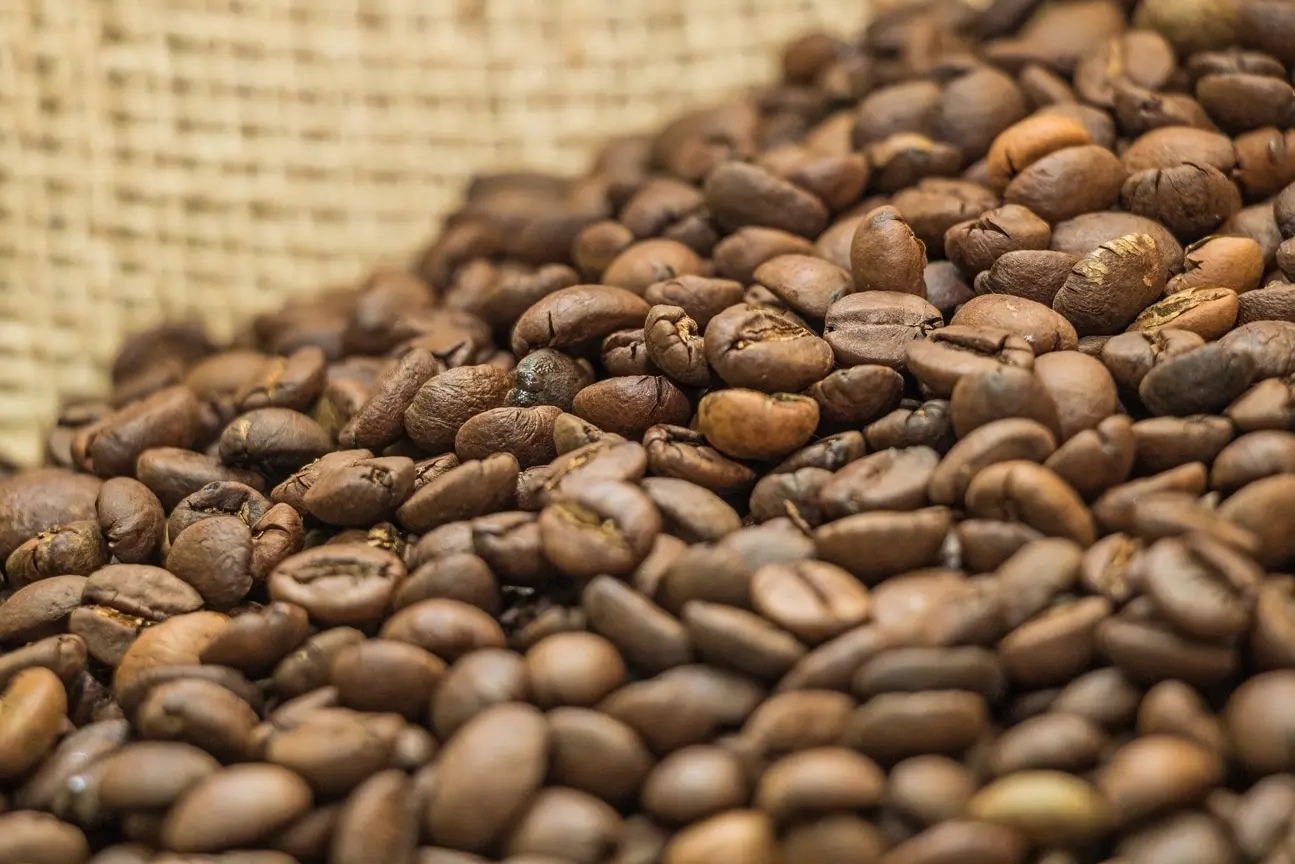 Рисунок 2 - Кофе в зернах Экстра Бар WEISERHOUSE