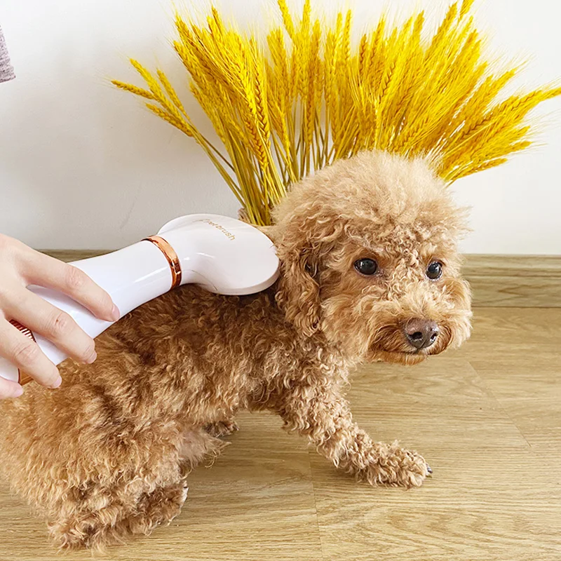 2-In-1 Pet Dog Dryer Quiet Dog Hair Dryers and Comb Brush Grooming Kitten Cat Hair Comb Puppy Fur Blower Low Noise Temprature