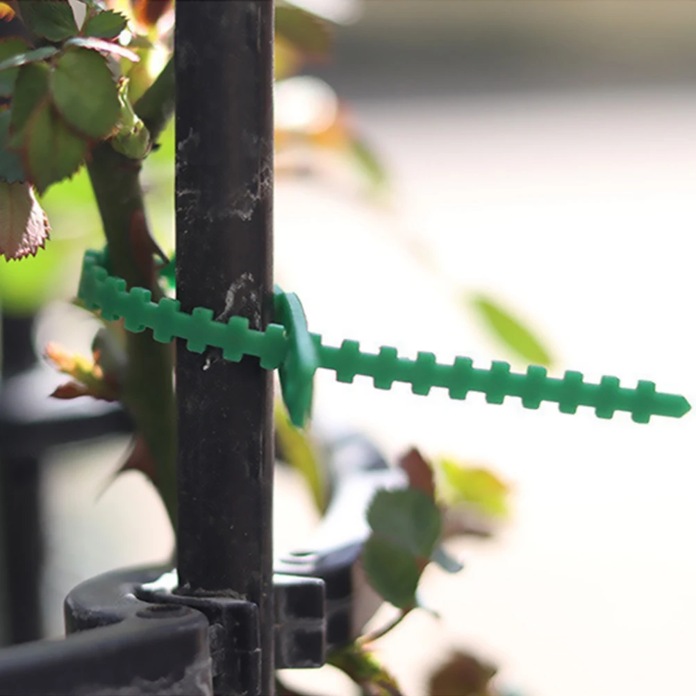 Plant Ties Plastic Plant Cable Ties Plastic Plant Supports Plant Clips Plant Stakes Plastic Plant Clips Plant Climbing Support Plant Stem Support Plant Support Stick Plant Support Connector 10-100pcs Reusable Orchard and garden Cable Ties Tools Plant Support Shrubs Fastener Tree Locking Nylon Adjustable Plastic