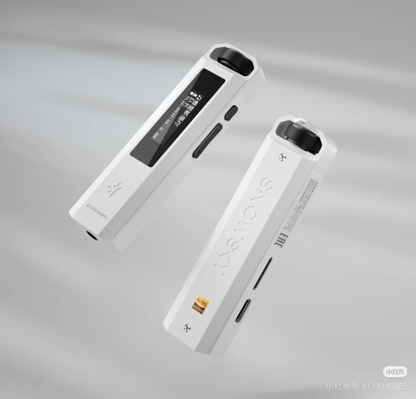 FiiO ECHO NANO 음악 플레이어 Snowsky 휴대용 미니 무손실 Mg-Al 합금 HiFi MP3 플레이어 OLED 스크린 DAC DSD MP3 Presle