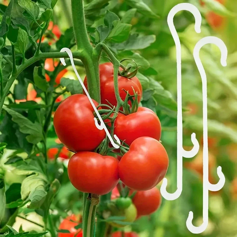 Tomato support hooks J-Hook support clips prevent tomato branches from breaking or falling off plant 10pcs