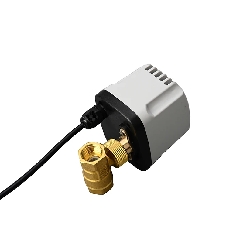 รูปสินค้า 1/2 "3/4" 1 "2" IP65 กันน้ําบอลวาล์วมอเตอร์ 3 สาย 2 ควบคุมทองเหลืองบอลวาล์วไฟฟ้าแรงบิดขนาดใหญ่มอเตอร์โลหะ