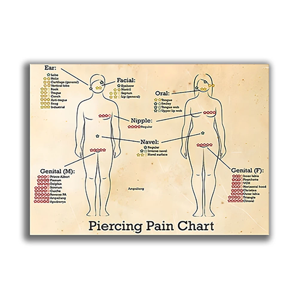Ear Piercing Pain Diagram — free download