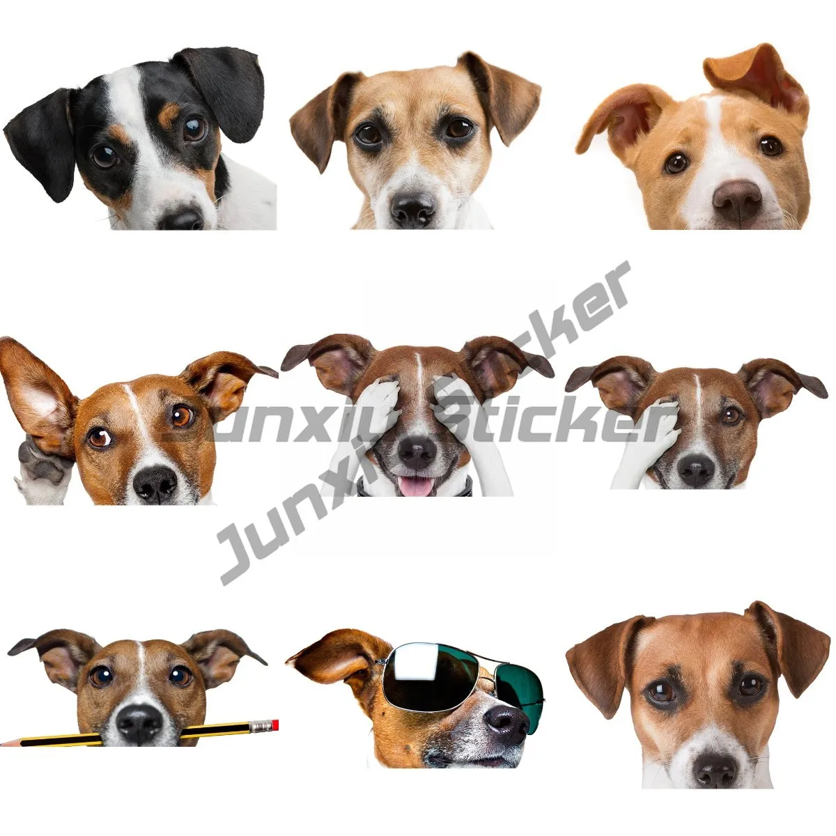 Boutique Decals Exterior Accessories Lifelike Car Stickers Jack Russell Terrier Dog Sticker Surfboard Decal Graffiti Sticker