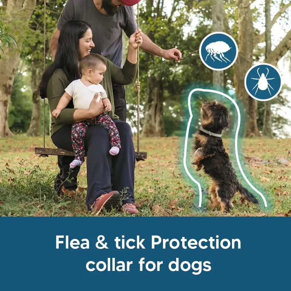 Two-collar value pack