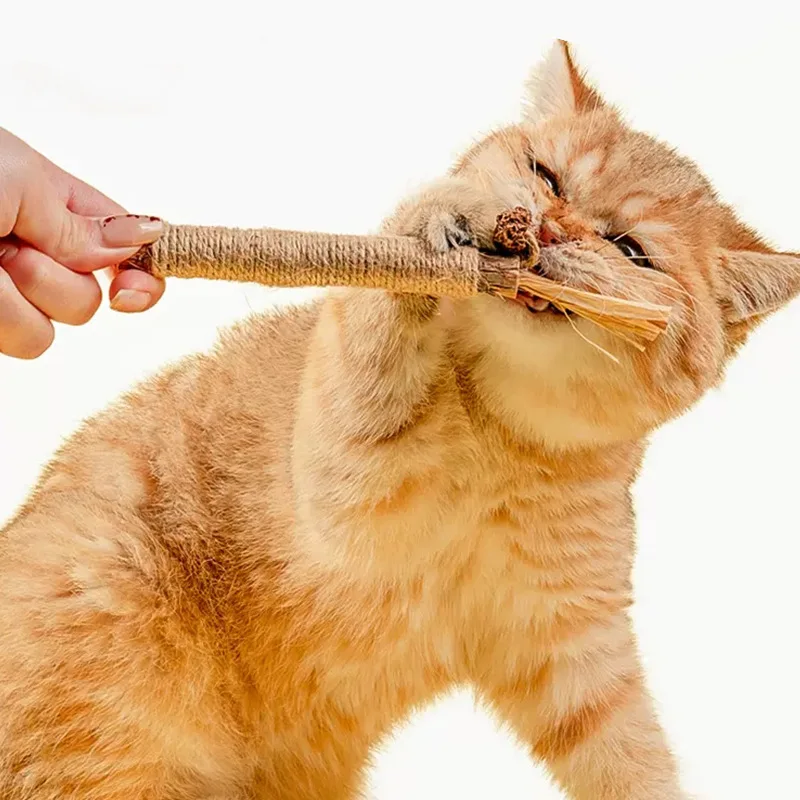 Cat teeth grinding sticks - image 1