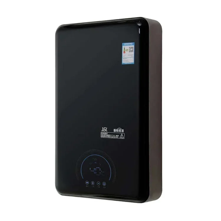 Winter Ice BathEasy To Use Wall-mounted Natural Gas Fast Heating Water Heater Is Cheap