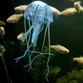 Jellyfish blue