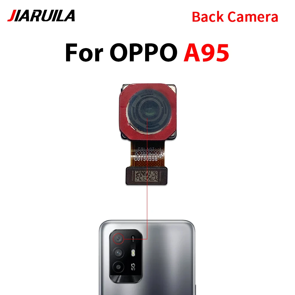 A95 Back