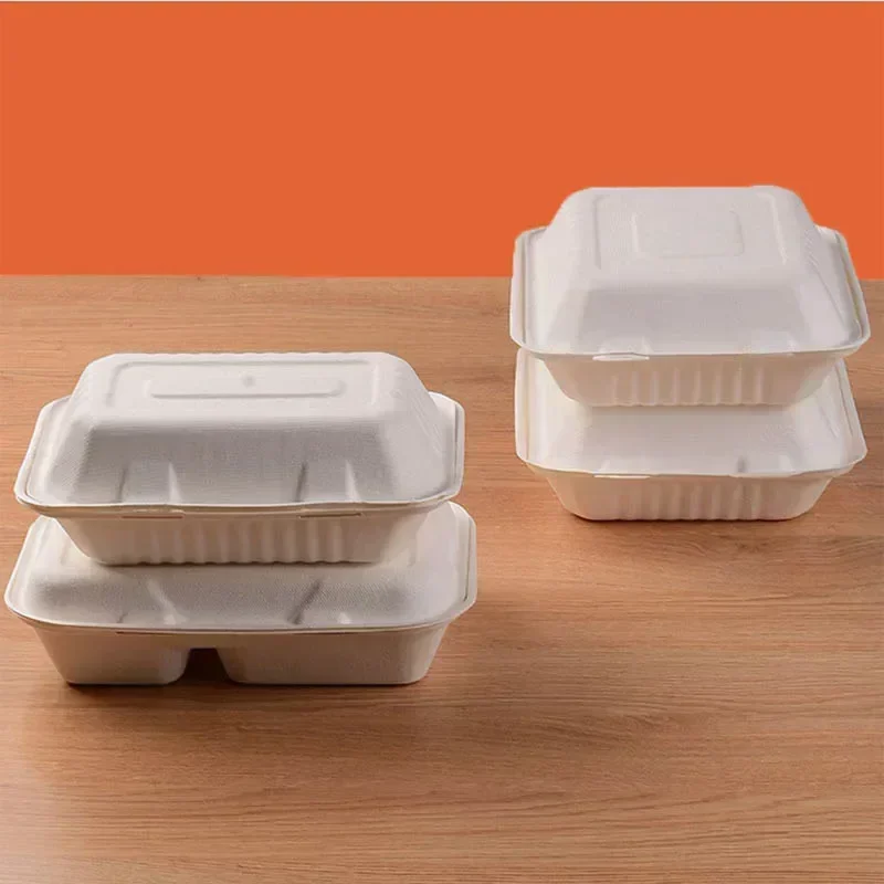 Eco-Friendly Disposable Bento Lunch and Party Packaging Box