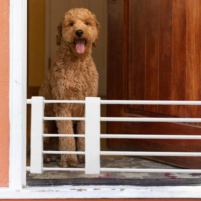 Barrière de sécurité rétractable basse pour chien, installation facile,  portail court pour animaux de compagnie, portes, escaliers, couloir,  clôture - AliExpress