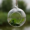 Transparent Glass Vase Plant Creative Hanging Glass Ball Flower Vase Terrarium Container Home Office Decor Hanging Decorative 4