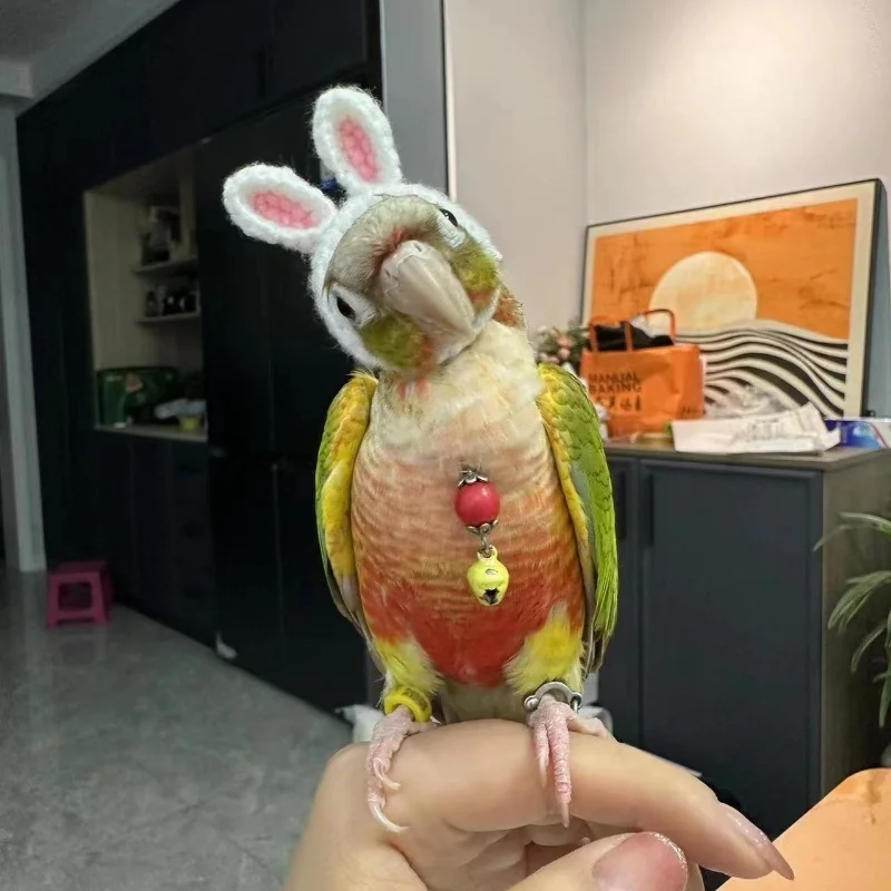 Budgerigar Cockatiel Peony Parrot Bird Hat Pet Wool Crochet Knitted Small Hairgear Headgear Casque Cover Birds Toys