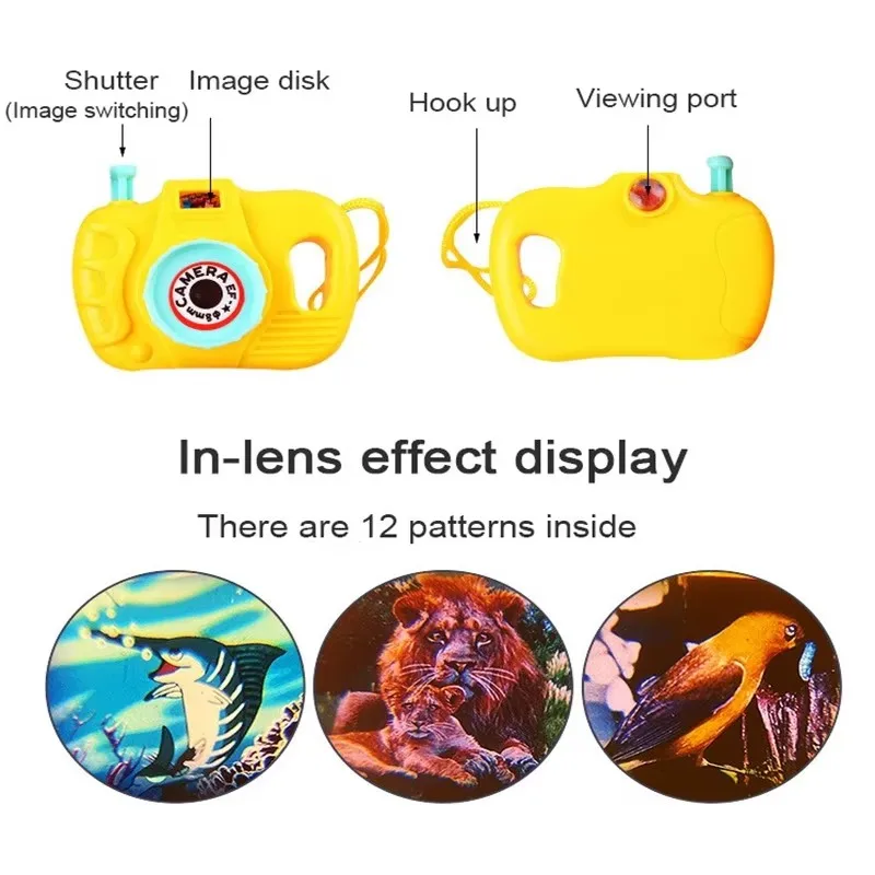 dsc-products
