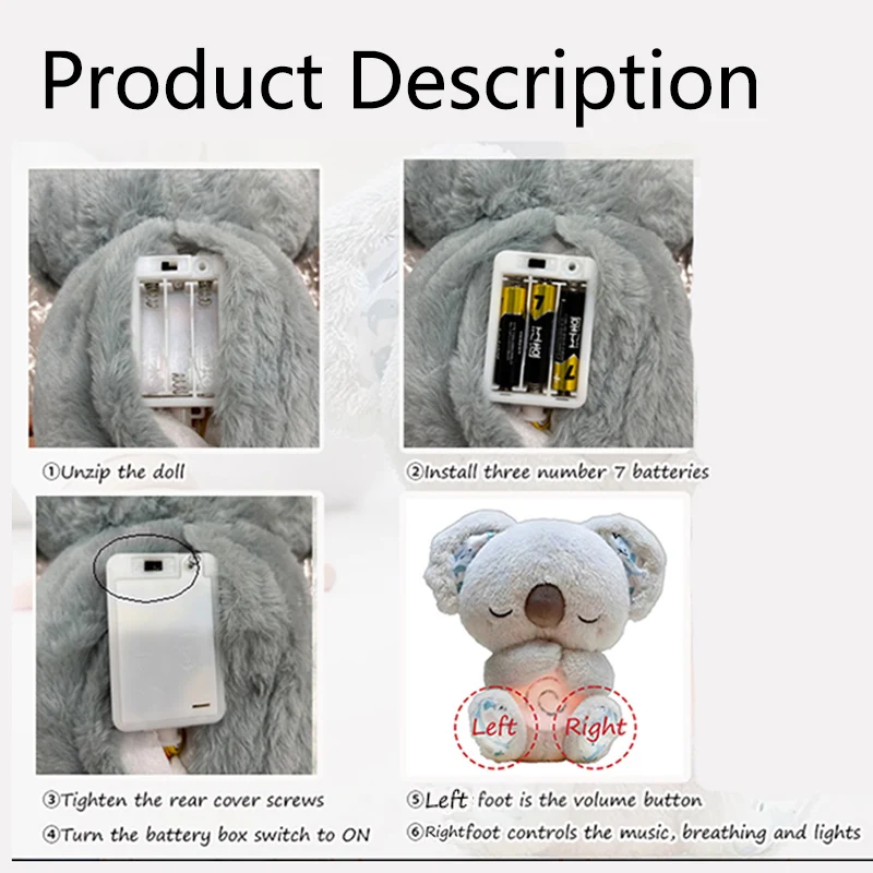 dsc-products