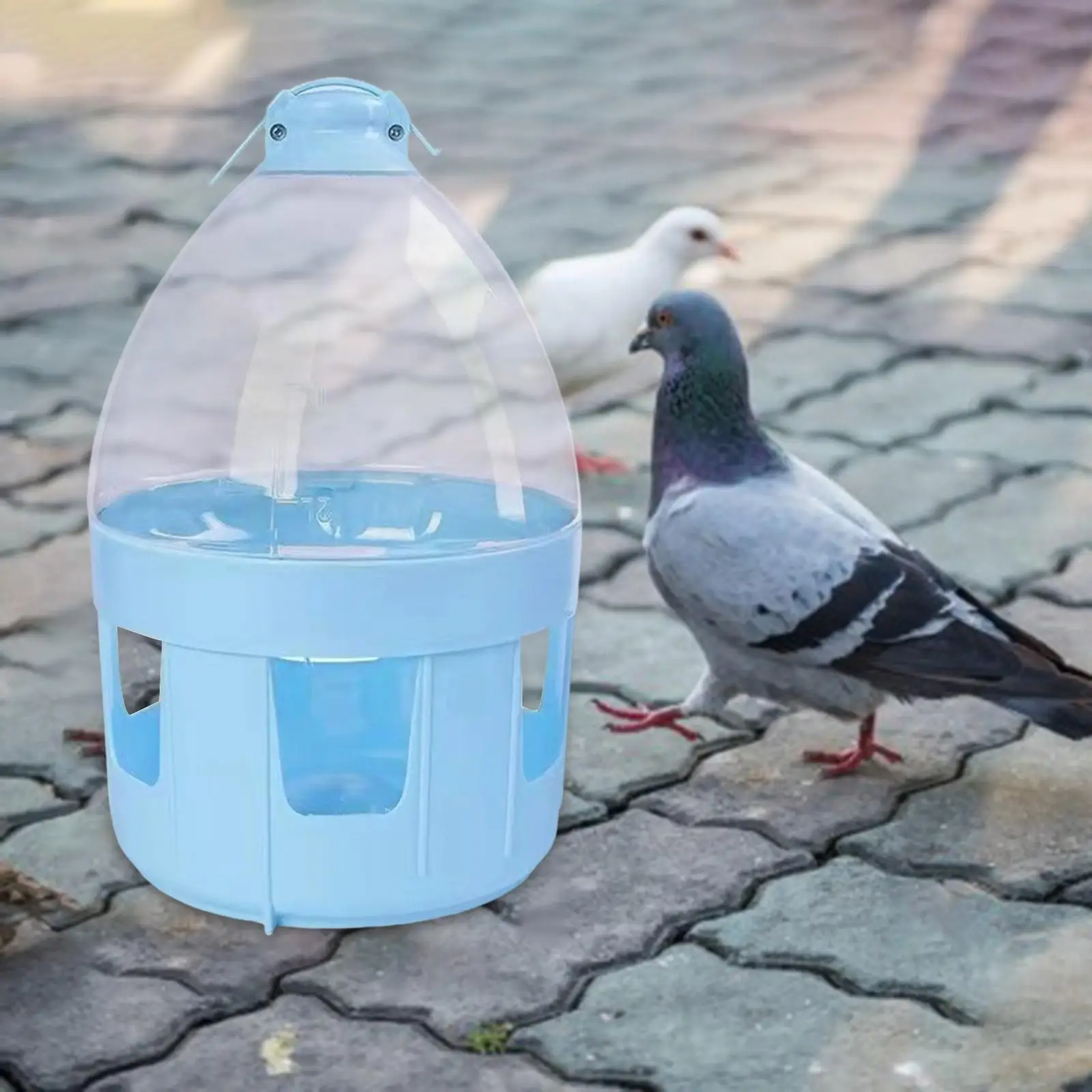 Pigeon Automatic Water Feeder Portable Hanging Dispenser Pet Supplies Pigeon Pigeon Automatic Water Feeder Portable Hanging Dispenser Pet Supplies Pigeon