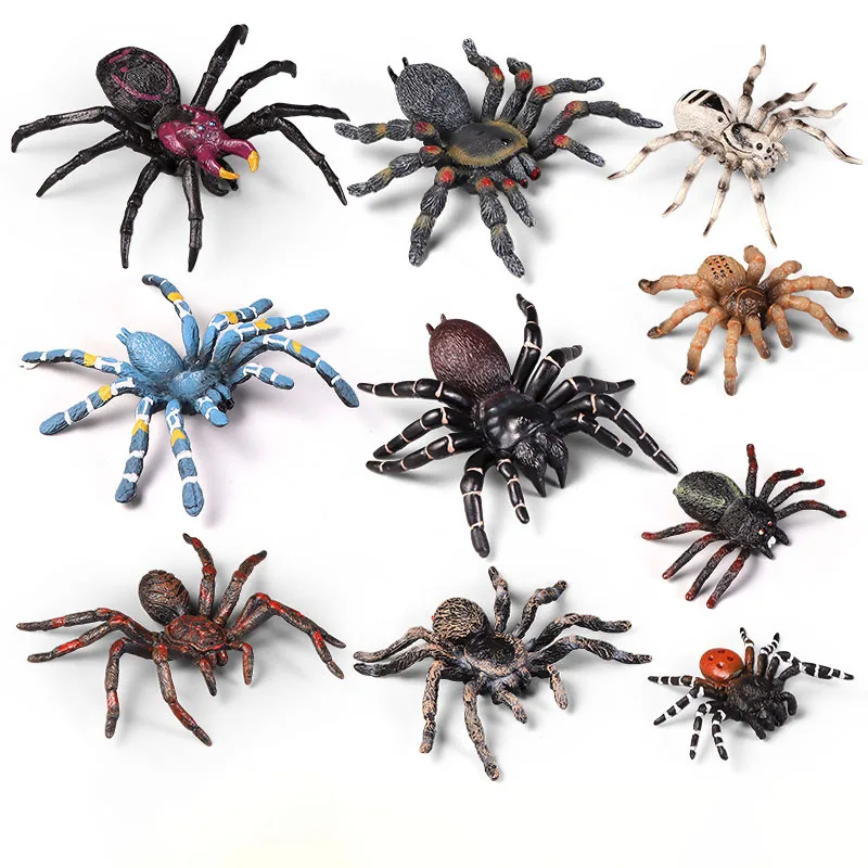 

Имитация животного, модель насекомого, воронка, паук, черный паук, Тарантул, экшн, Ранняя детская развивающая игрушка