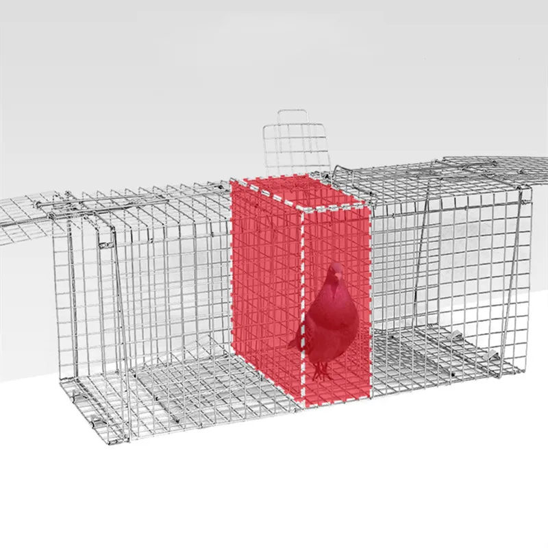 Cage De Capture Pliable Pour Animaux Vivants, Piège À Double Porte Pour  Animaux Vivants, Pour Les Sangliers, Les Chats, Les Renards, Les Cochons  D'inde, Les Ratons Laveurs Et Les Pigeons - Pièges 