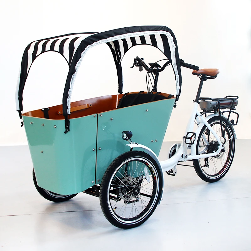 Three Wheel Electric Cargo Bike Dutch 3 Wheel Family Cargo Bike Bakfiet Trailer E-cargo Bike Pet Cargo Trailer For Dog