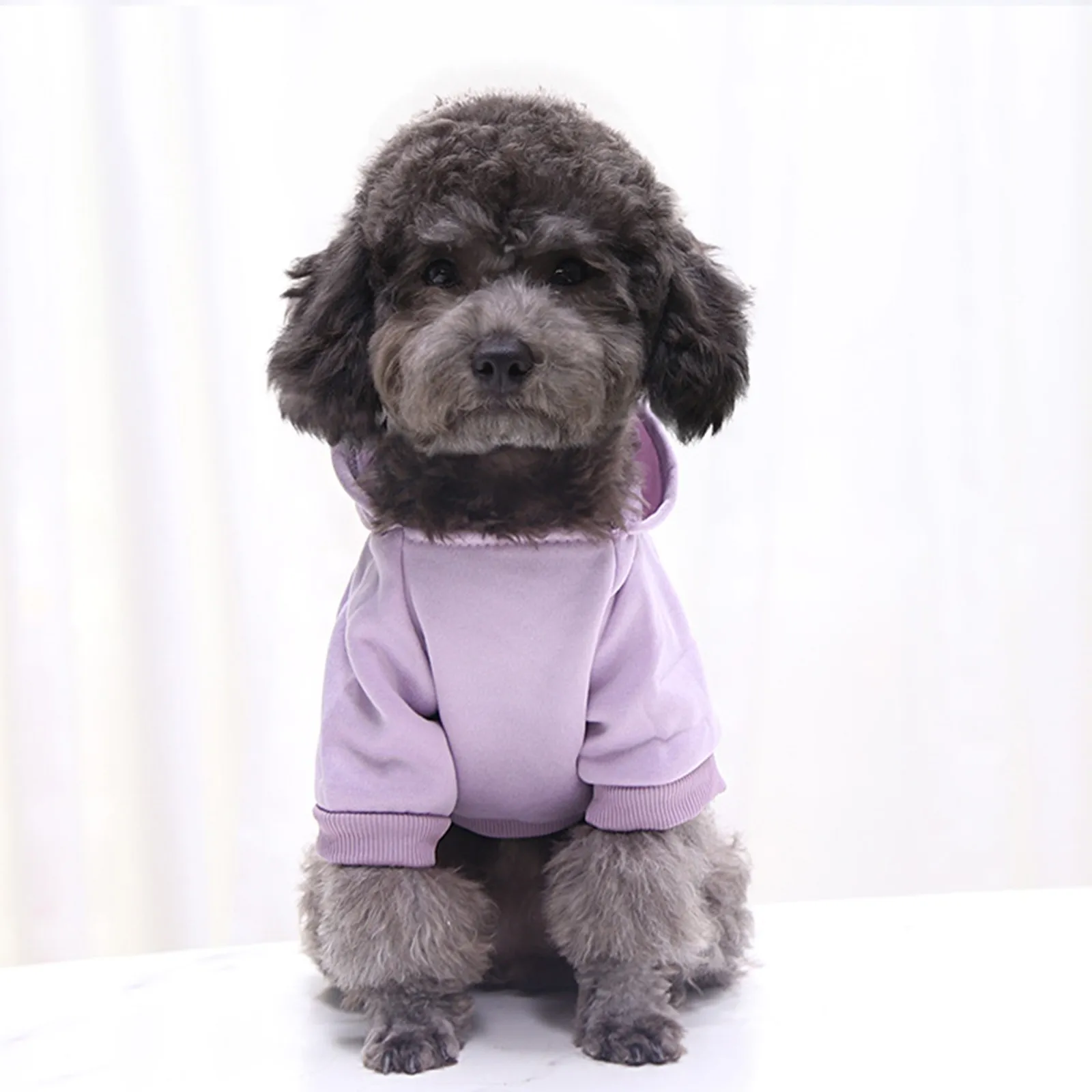 대형 개를위한 개 옷 양털 개 작은 스웨터를위한 겨울 소녀 가을 따뜻한 소년 까마귀 중간 강아지 강아지 소녀 옷 겨울