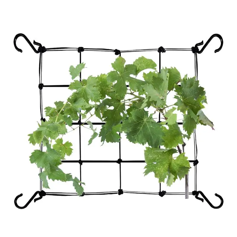 

Garden Trellis Netting Garden Plant Trellis Netting Garden Netting Garden Plant Trellis Heavy-Duty Garden Plant Support Net