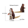 Mahogany Kangaroo